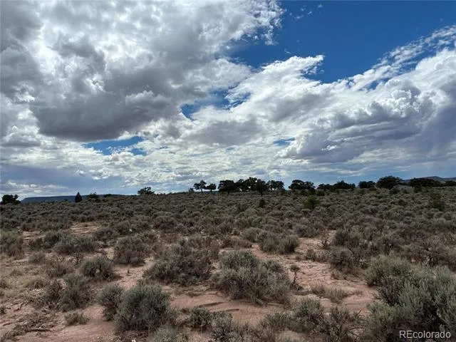 LOT 7291 Luvie Road Fort Garland, CO 81133