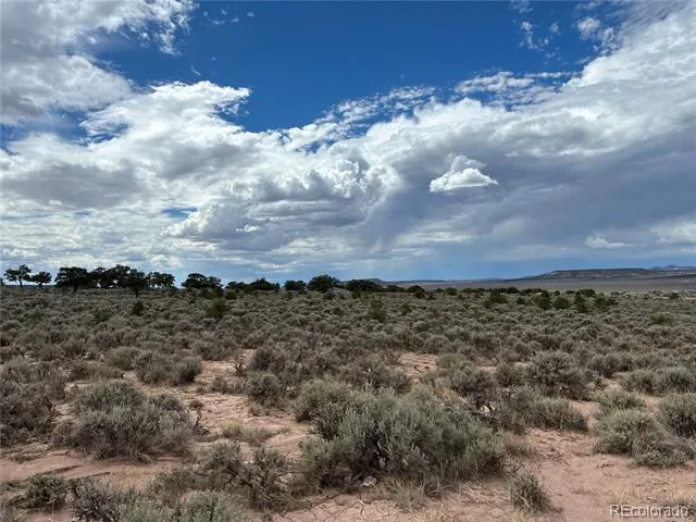 LOT 7291 Luvie Road Fort Garland, CO 81133