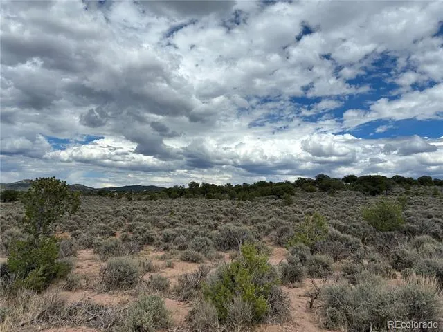 LOT 7291 Luvie Road Fort Garland, CO 81133