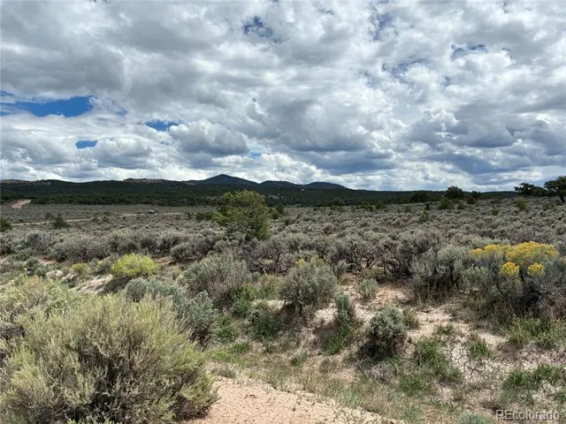 LOT 7291 Luvie Road Fort Garland, CO 81133