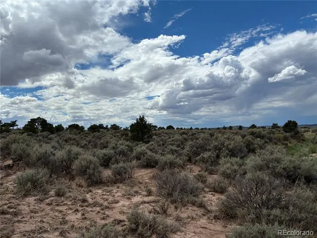LOT 7291 Luvie Road Fort Garland, CO 81133
