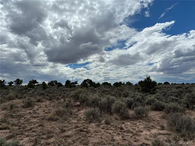 LOT 7291 Luvie Road Fort Garland, CO 81133