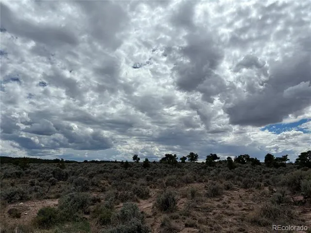 LOT 7291 Luvie Road Fort Garland, CO 81133