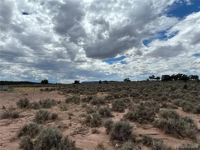 LOT 7291 Luvie Road Fort Garland, CO 81133