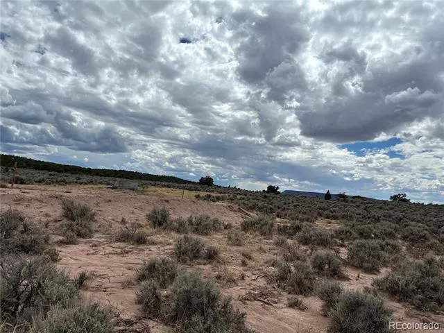 LOT 7291 Luvie Road Fort Garland, CO 81133