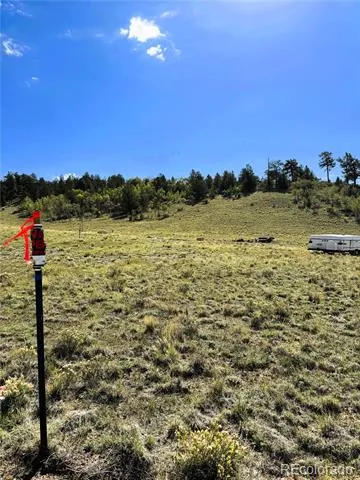 8390 Chickasaw Road Hartsel, CO 80449