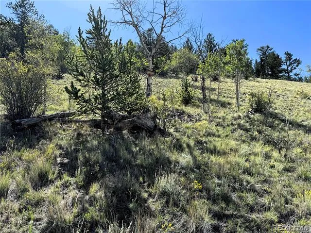8390 Chickasaw Road Hartsel, CO 80449
