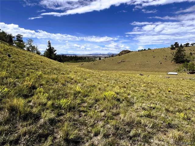 8390 Chickasaw Road Hartsel, CO 80449