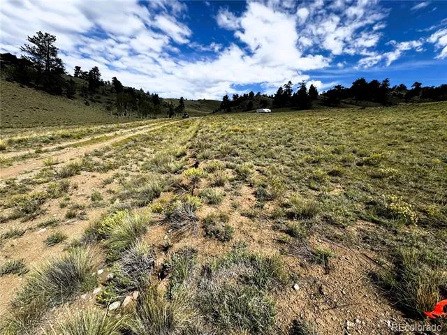8390 Chickasaw Road Hartsel, CO 80449