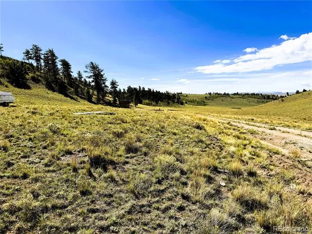 8390 Chickasaw Road Hartsel, CO 80449