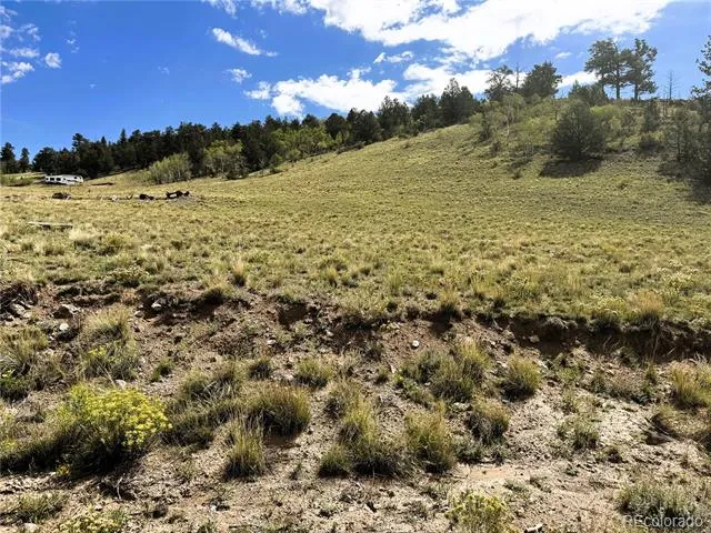 8390 Chickasaw Road Hartsel, CO 80449