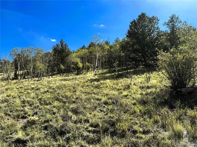 8390 Chickasaw Road Hartsel, CO 80449