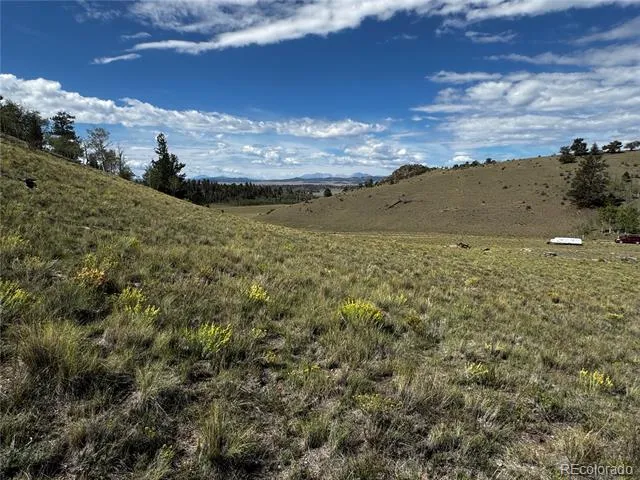 8390 Chickasaw Road Hartsel, CO 80449
