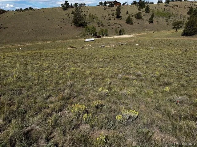 8390 Chickasaw Road Hartsel, CO 80449