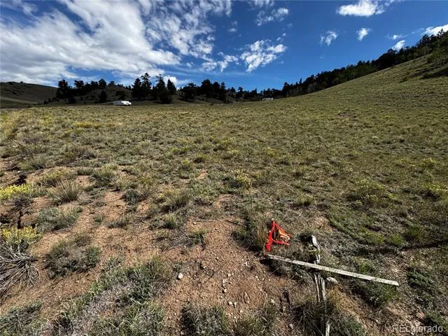 8390 Chickasaw Road Hartsel, CO 80449