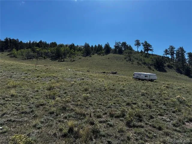 8390 Chickasaw Road Hartsel, CO 80449