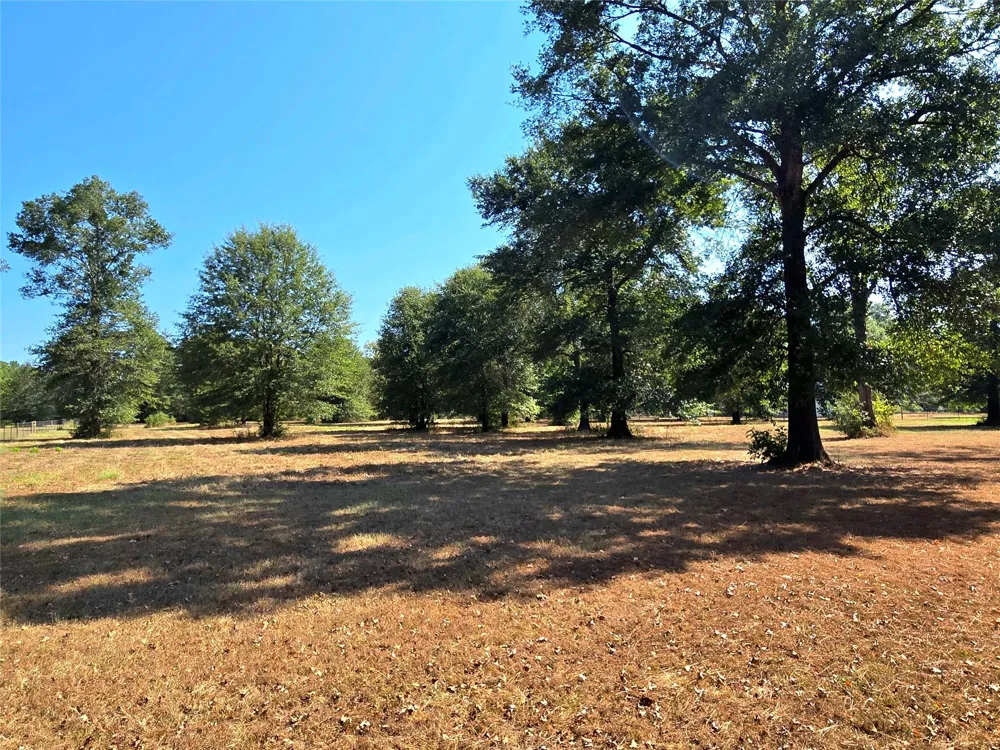251 Everitt Rd Cleveland, TX 77328