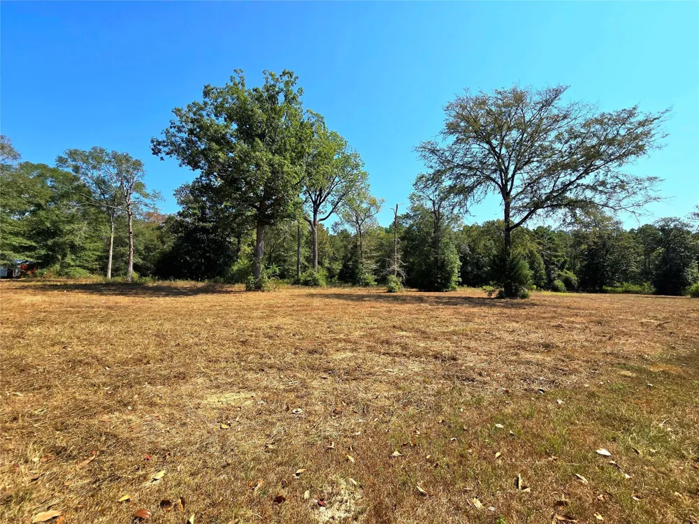 251 Everitt Rd Cleveland, TX 77328
