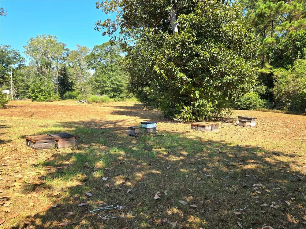 251 Everitt Rd Cleveland, TX 77328