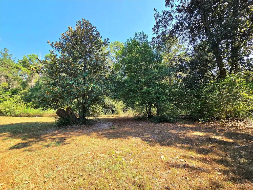 251 Everitt Rd Cleveland, TX 77328