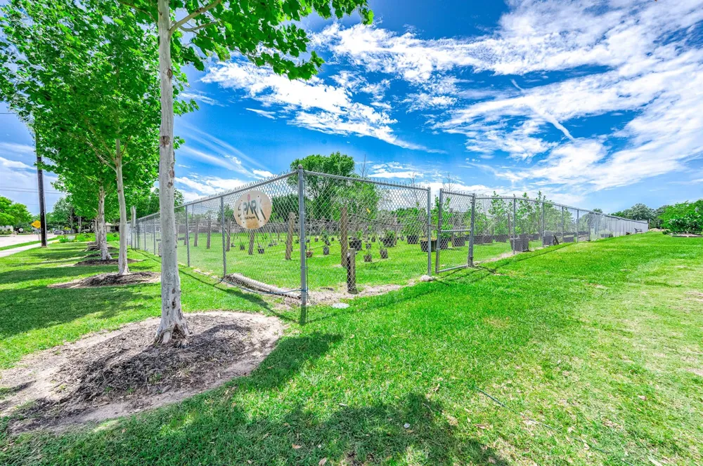 12668 Newbrook Drive #495 Houston, TX 77072