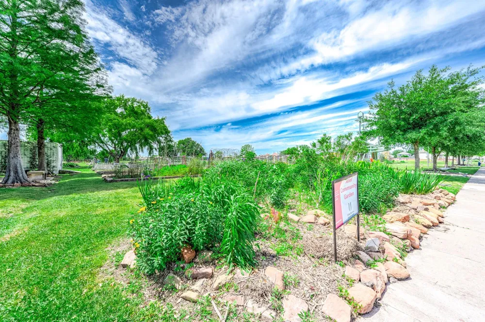 12668 Newbrook Drive #495 Houston, TX 77072