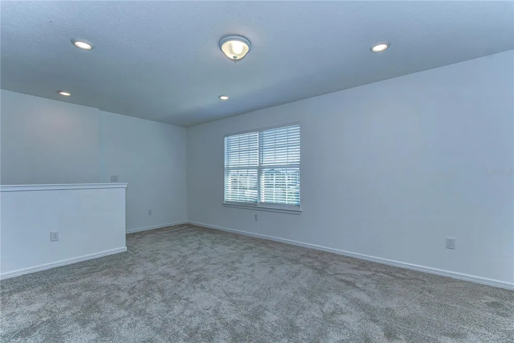 17751 EVERLONG DRIVE Land O Lakes, FL 34638
