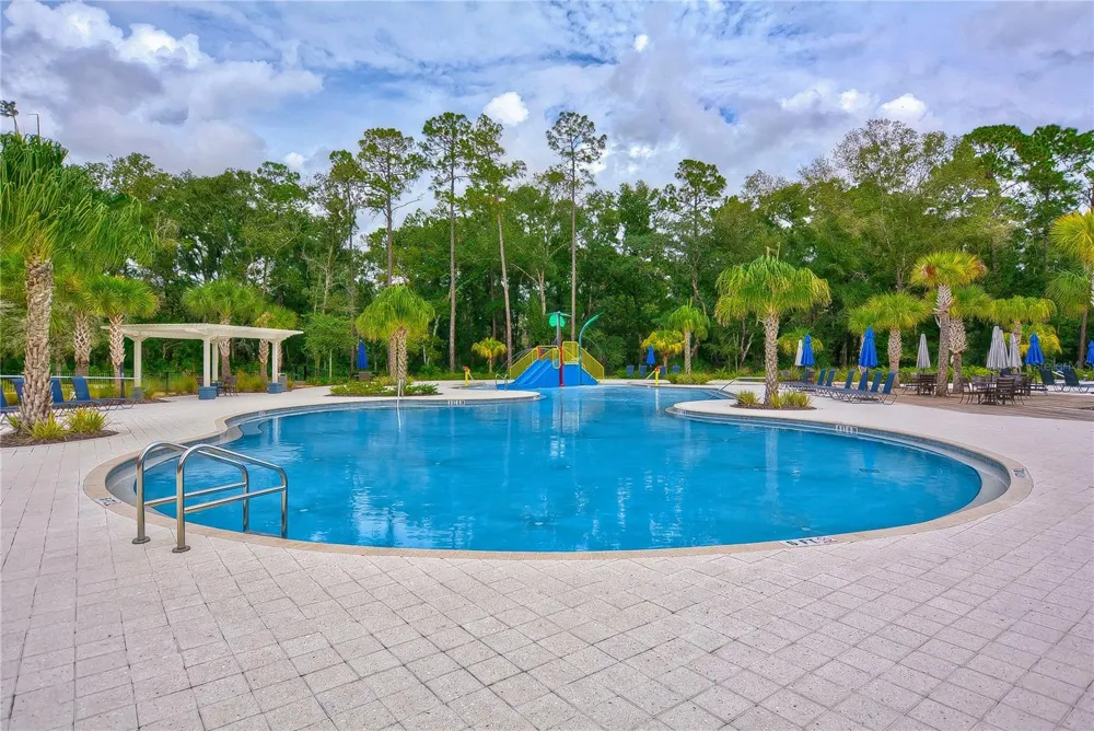 17751 EVERLONG DRIVE Land O Lakes, FL 34638