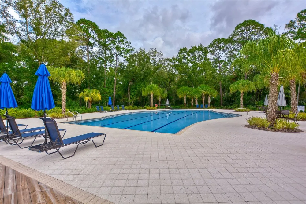 17751 EVERLONG DRIVE Land O Lakes, FL 34638