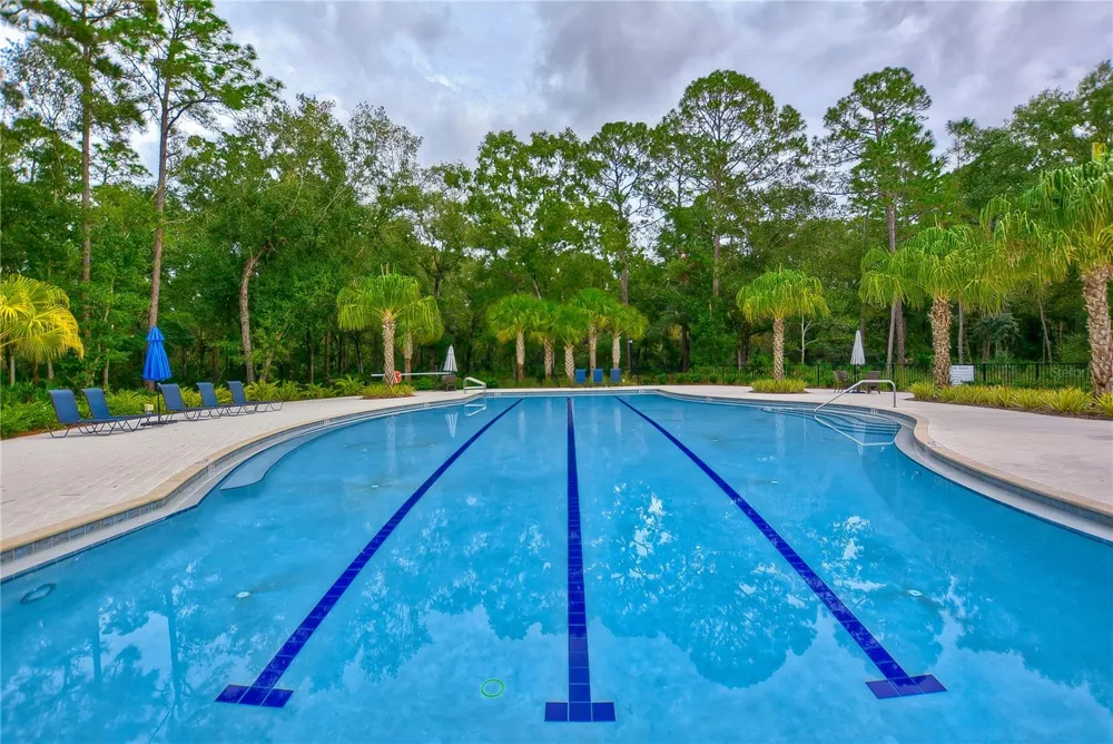 17751 EVERLONG DRIVE Land O Lakes, FL 34638