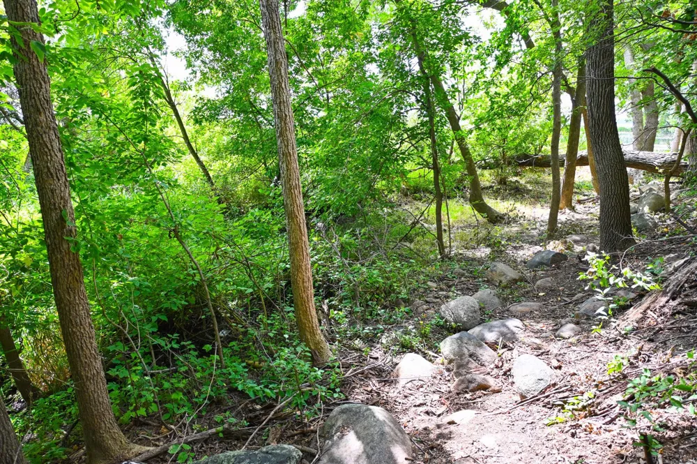 TBD Tamarac Circle NE Miltona, MN 56354