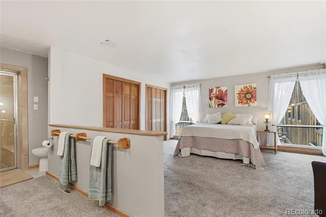 13082 S Wamblee Valley Road Conifer, CO 80433