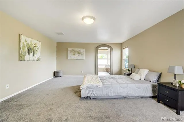 2317 Cactus Bloom Court Castle Rock, CO 80109