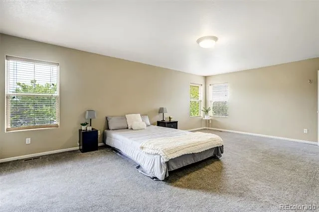 2317 Cactus Bloom Court Castle Rock, CO 80109