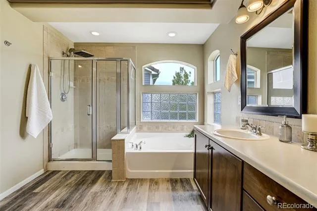 2317 Cactus Bloom Court Castle Rock, CO 80109