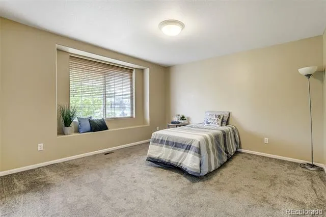 2317 Cactus Bloom Court Castle Rock, CO 80109