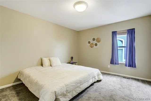 2317 Cactus Bloom Court Castle Rock, CO 80109