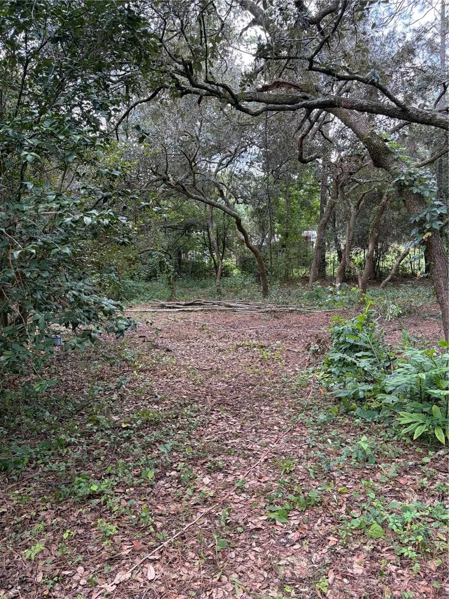 4555 SW 175 COURT Dunnellon, FL 34431
