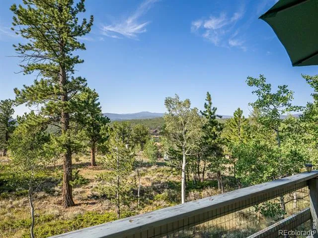 6424 Ottawa Way Red Feather Lakes, CO 80545