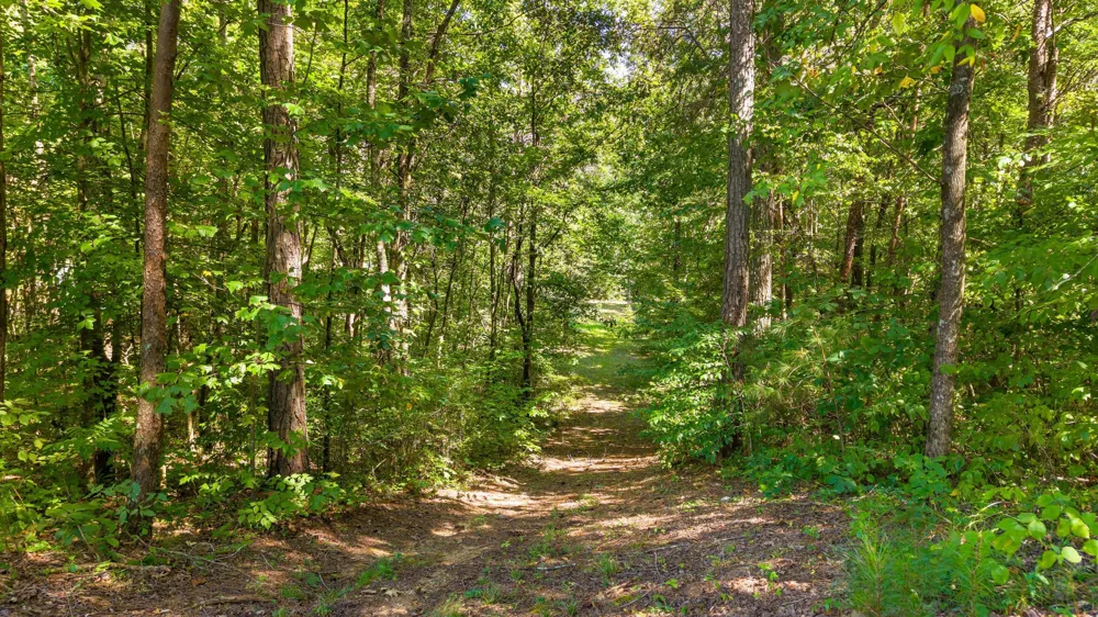 901 Osment Road SE Cleveland, TN 37323