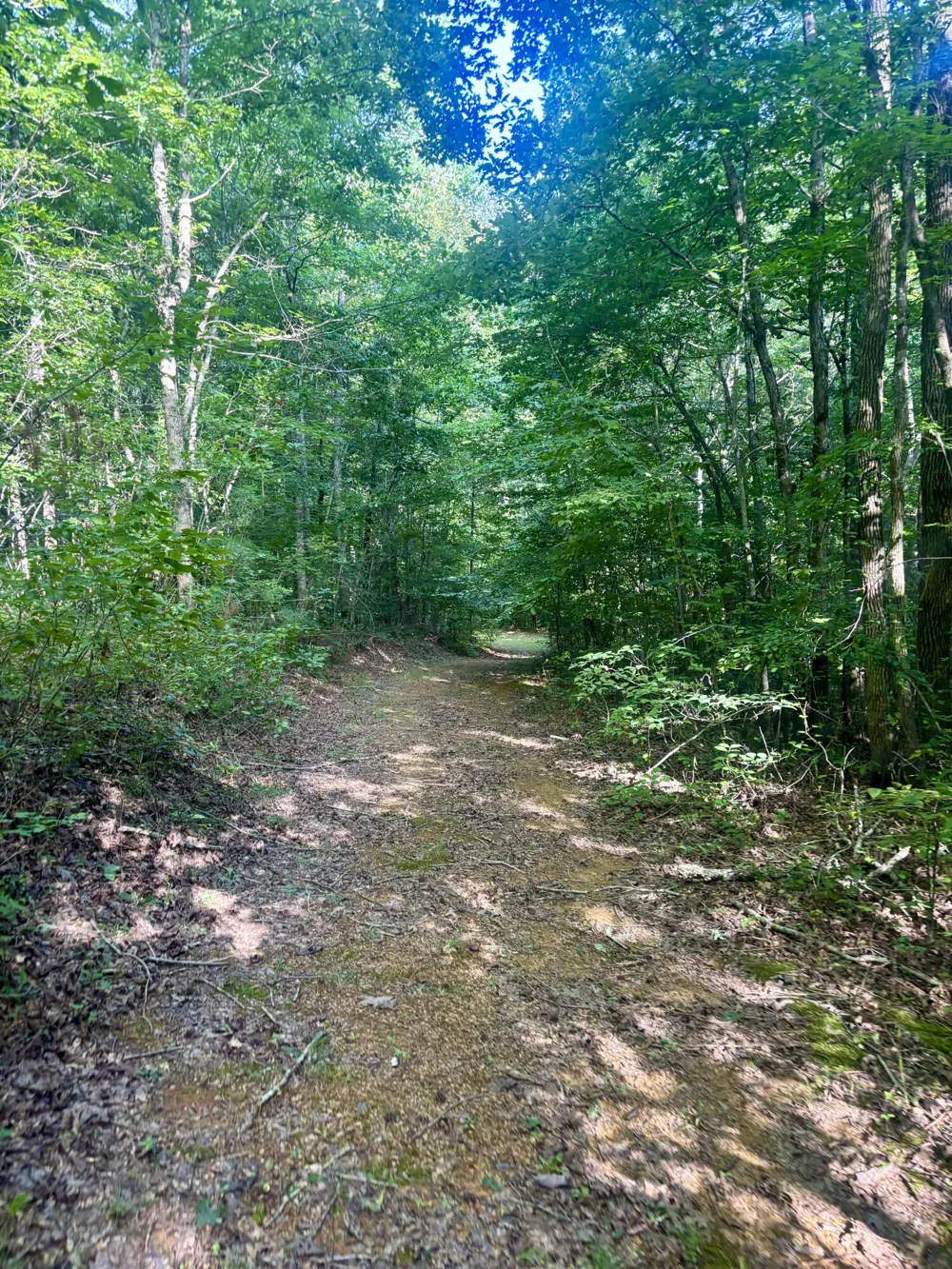 901 Osment Road SE Cleveland, TN 37323