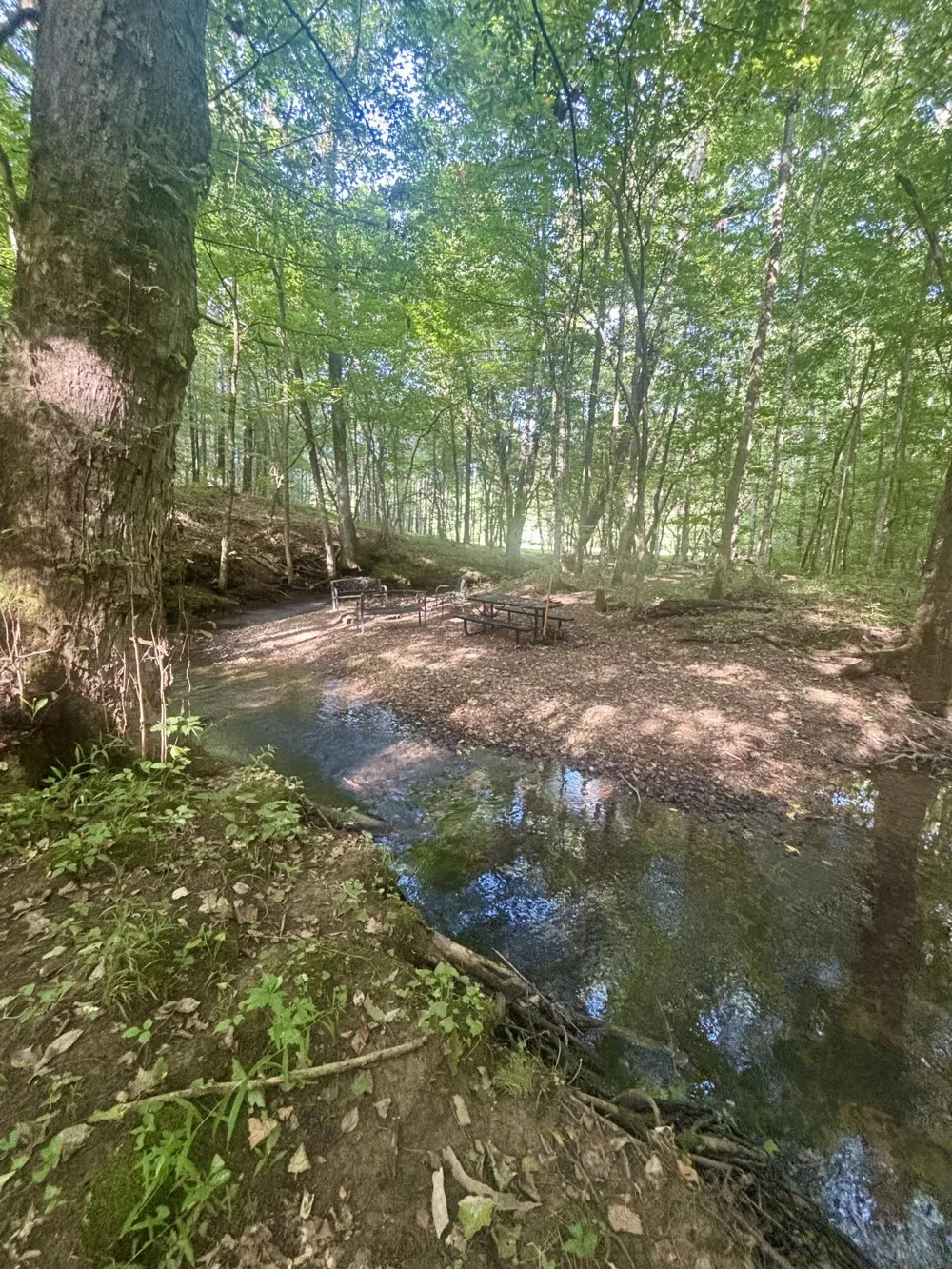 901 Osment Road SE Cleveland, TN 37323