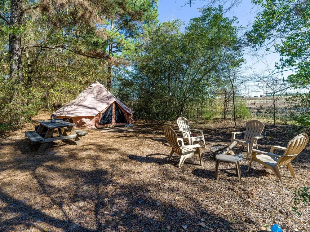 11201 County Road 203 Plantersville, TX 77363