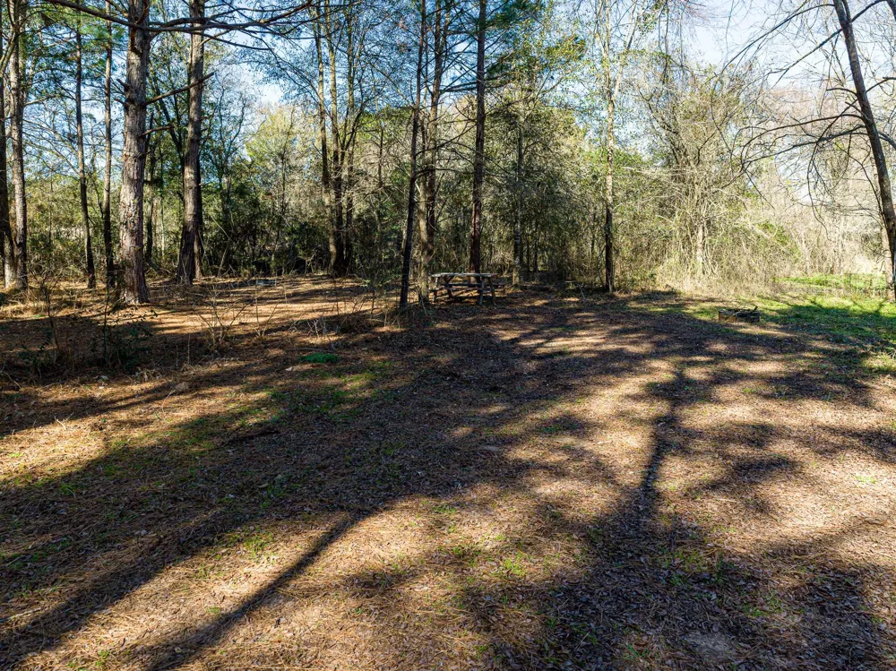 11201 County Road 203 Plantersville, TX 77363