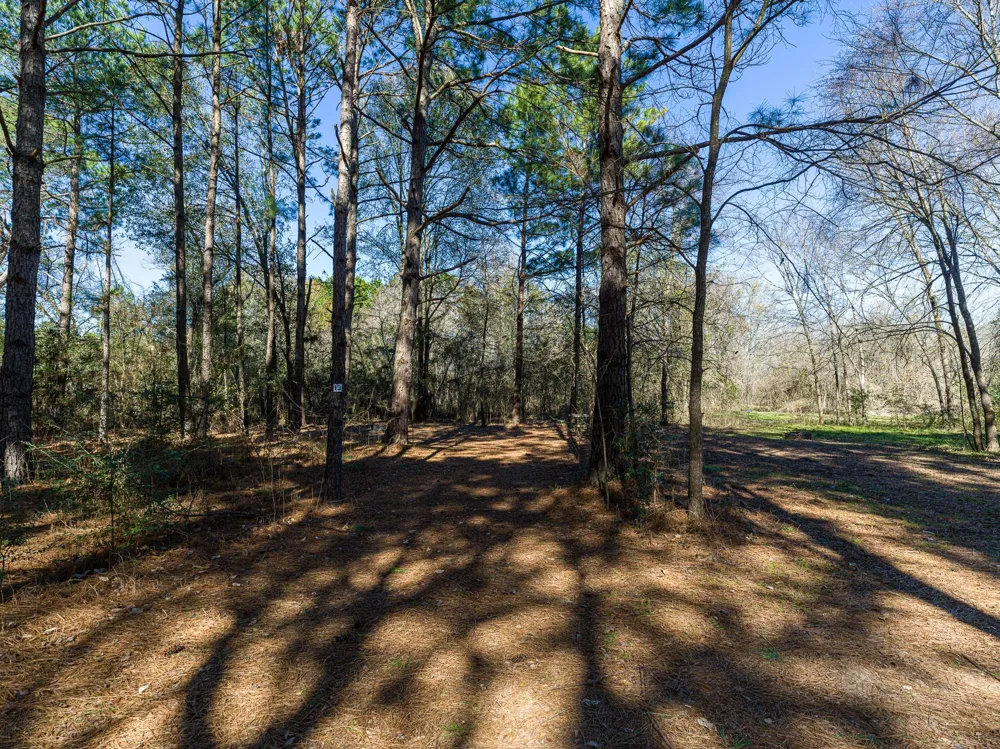 11201 County Road 203 Plantersville, TX 77363