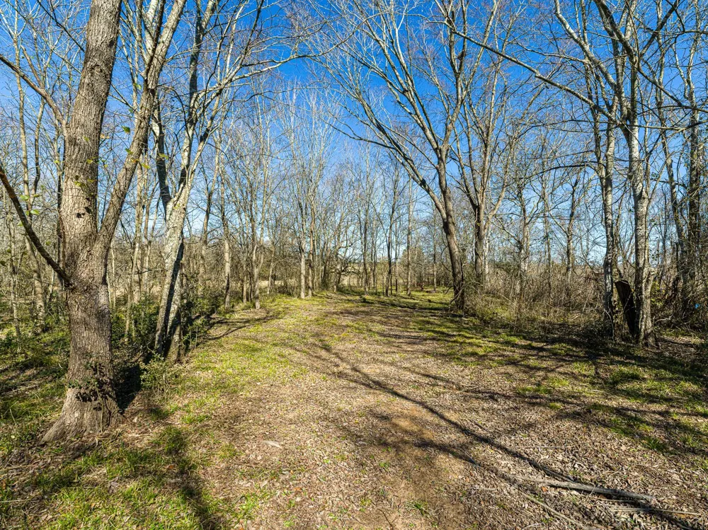 11201 County Road 203 Plantersville, TX 77363