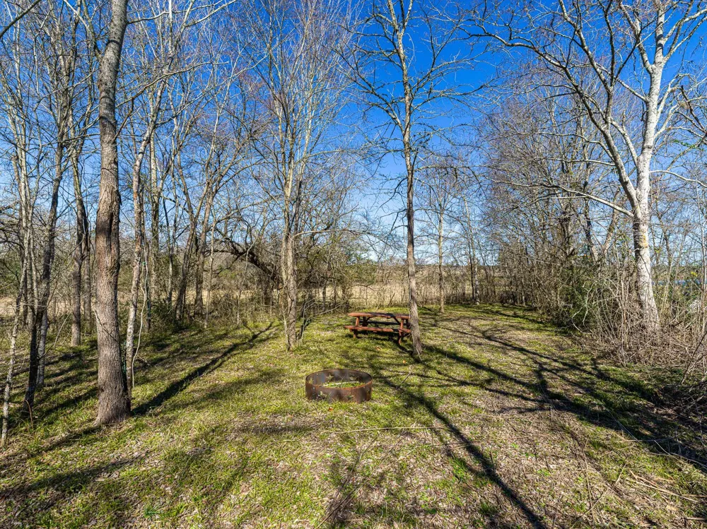 11201 County Road 203 Plantersville, TX 77363