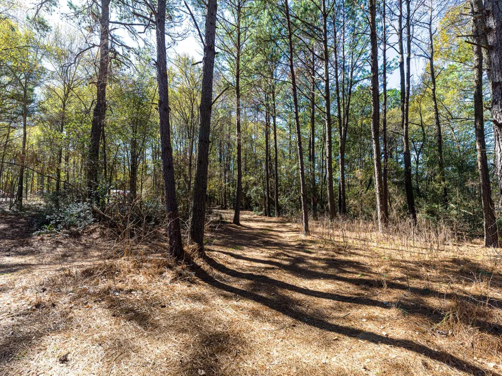 11201 County Road 203 Plantersville, TX 77363