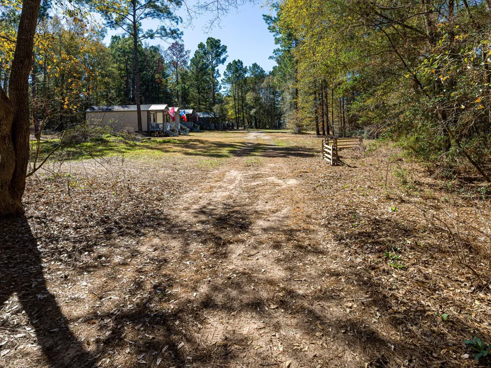 11201 County Road 203 Plantersville, TX 77363