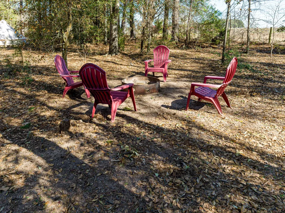 11201 County Road 203 Plantersville, TX 77363